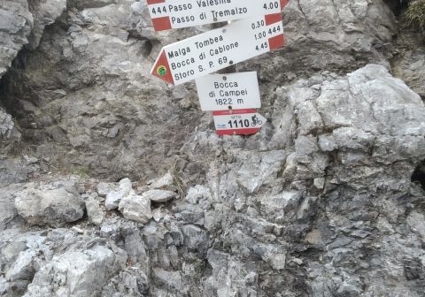 Monte Caplone - Sentiero del costone - foto 15
