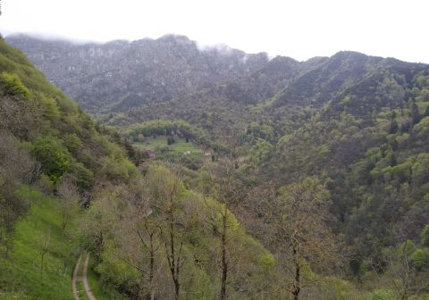 Monte Caplone - Sentiero del costone - foto 16