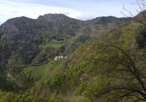 Monte Caplone - Sentiero del costone - foto 5