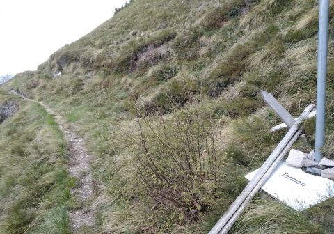 Monte Caplone - Sentiero del costone - foto 8