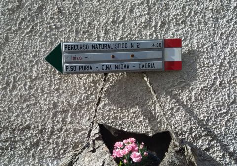 Monte Caplone - Sentiero del costone - foto 1