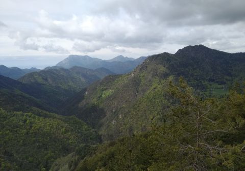 Monte Caplone - Sentiero del costone - foto 3