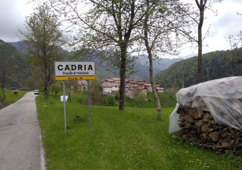 Monte Caplone - Sentiero del costone - foto 17