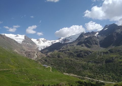 Ghiacciaio dei Forni