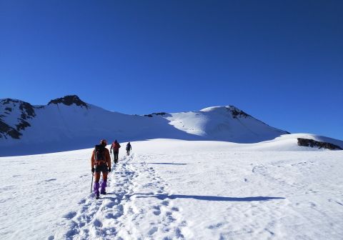 Monte Cevedale - Via normale - foto 14