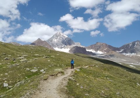 Monte Cevedale - Via normale - foto 27