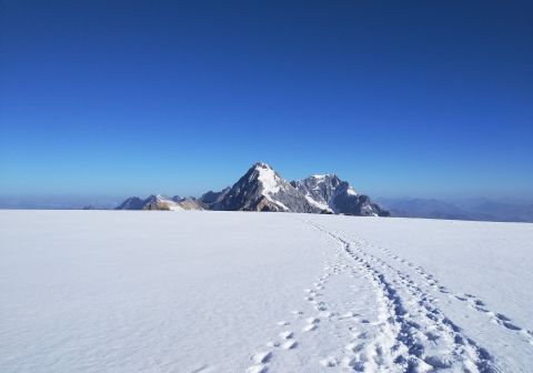 Monte Cevedale - Via normale - foto 15