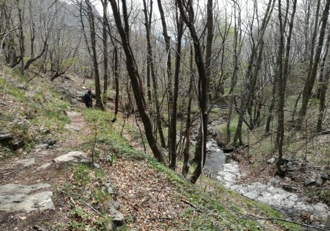 Monte Coltignone e Corno Medale - foto 13