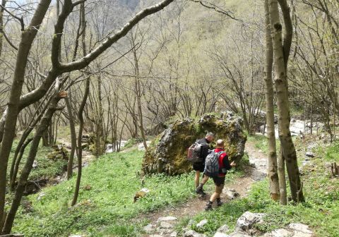 Monte Coltignone e Corno Medale - foto 15