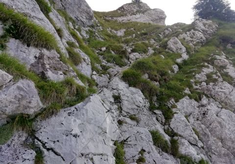 Monte Coppolo - foto 17