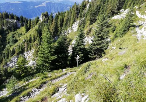 Monte Coppolo - foto 18