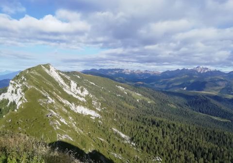Monte Coppolo - foto 8