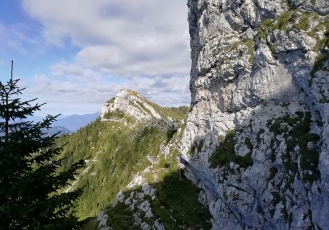 Monte Coppolo - foto 15