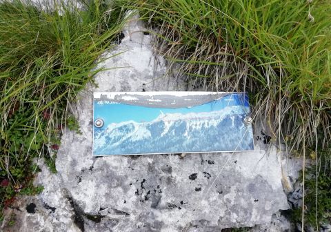 Monte Coppolo - foto 16