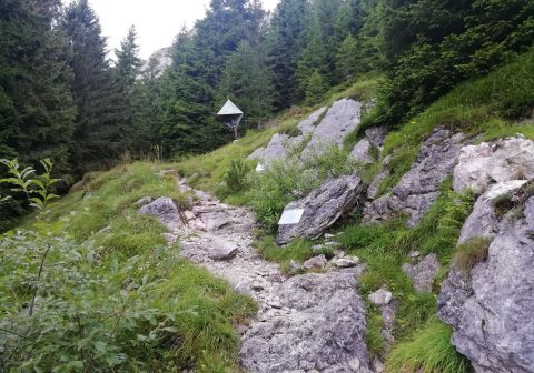 Monte Coppolo - foto 3