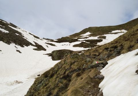 Monte dei Matti - foto 13
