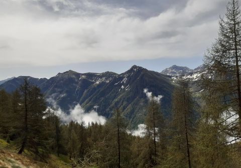 Monte dei Matti - foto 4