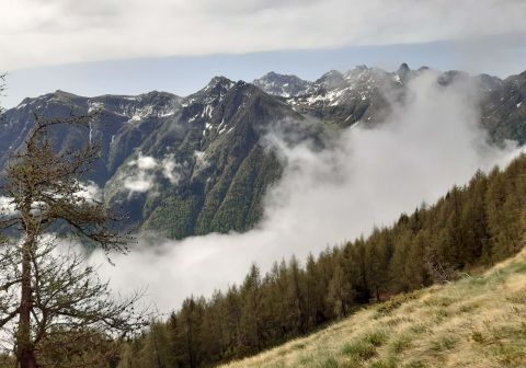 Monte dei Matti - foto 6