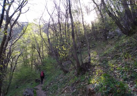 Monte Due Mani da Ballabio - foto 24