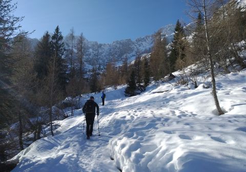 Monte Ferrante dal Rifugio Albani - Invernale - foto 3