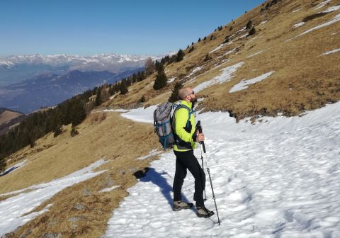Monte Guglielmo da Zone (Bosco degli gnomi)_8