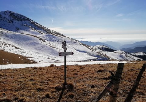 Monte Guglielmo da Zone (Bosco degli gnomi)_12