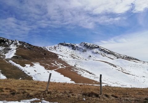 Monte Guglielmo da Zone (Bosco degli gnomi)_13