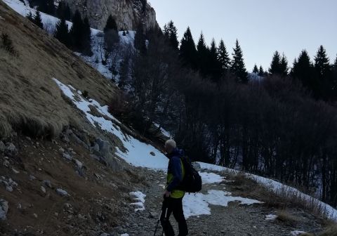 Monte Guglielmo da Zone (Bosco degli gnomi)_1