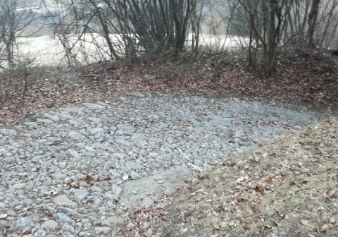 Monte Guglielmo da Zone (Bosco degli gnomi)_14