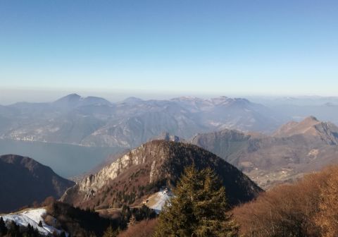Monte Guglielmo da Zone (Bosco degli gnomi)_4