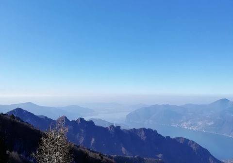 Monte Guglielmo da Zone (Bosco degli gnomi)_5