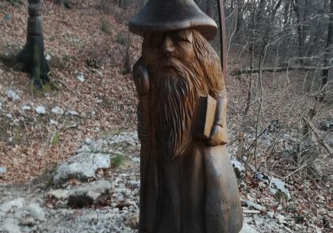 Monte Guglielmo da Zone (Bosco degli gnomi)_2