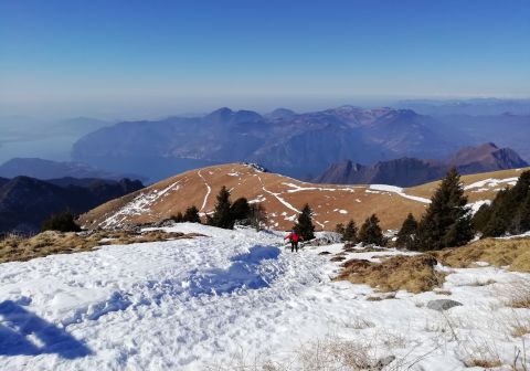 Monte Guglielmo da Zone (Bosco degli gnomi)_11