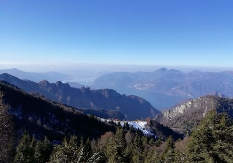 Monte Guglielmo da Zone (Bosco degli gnomi)_3