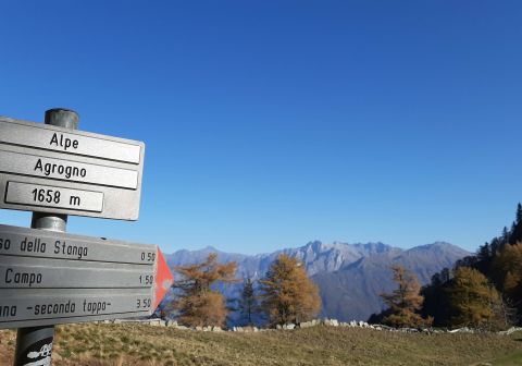 Monte Legnone - foto 6