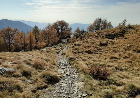 Monte Legnone - foto 31