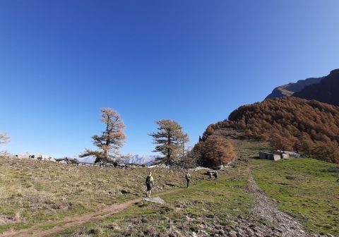 Monte Legnone - foto 8