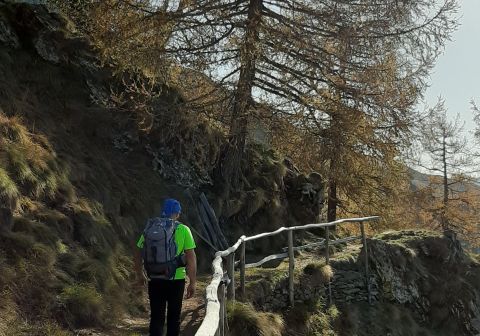 Monte Legnone - foto 5
