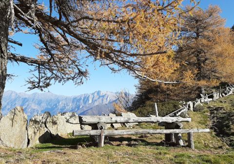 Monte Legnone - foto 9
