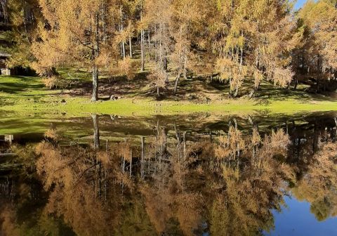 Monte Legnone - foto 1
