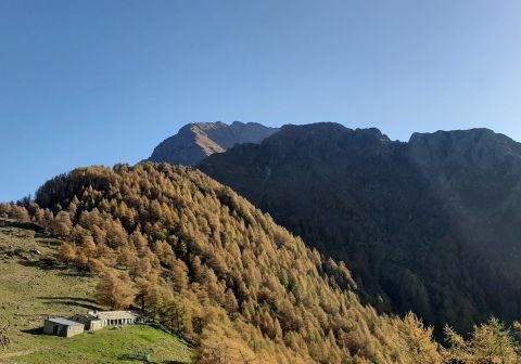 Monte Legnone - foto 7