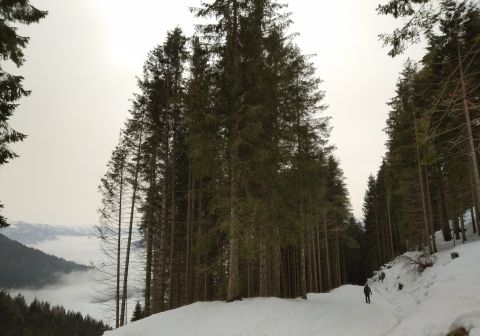 Monte Mignone - foto 18