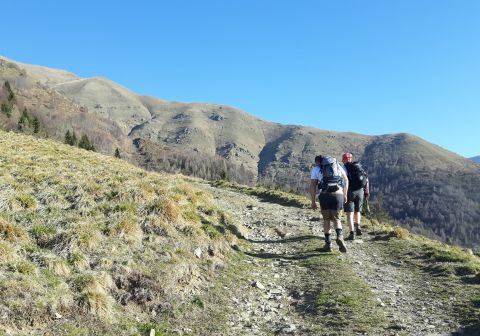 Monte Muffetto - foto 4
