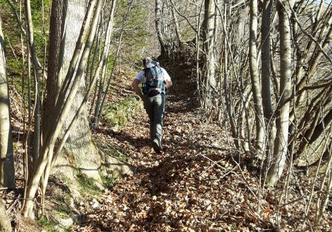 Monte Muffetto - foto 3