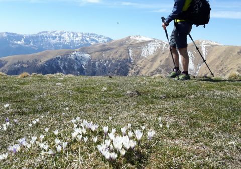 Monte Muffetto - foto 17