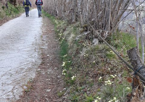 Monte Muffetto - foto 1