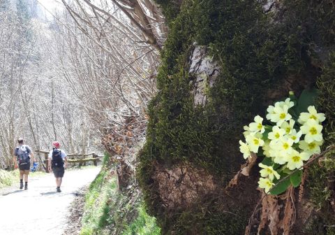 Monte Muffetto - foto 18