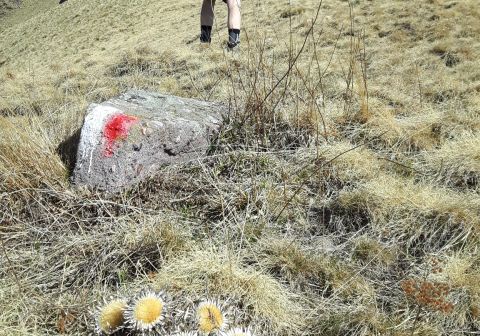 Monte Muffetto - foto 10
