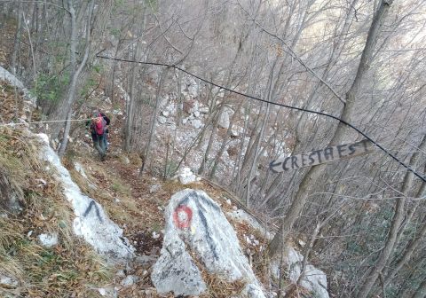 Monte Pizzocolo - Cresta Est_2