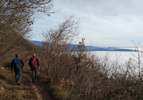 Monte Pizzocolo - Cresta Est_0